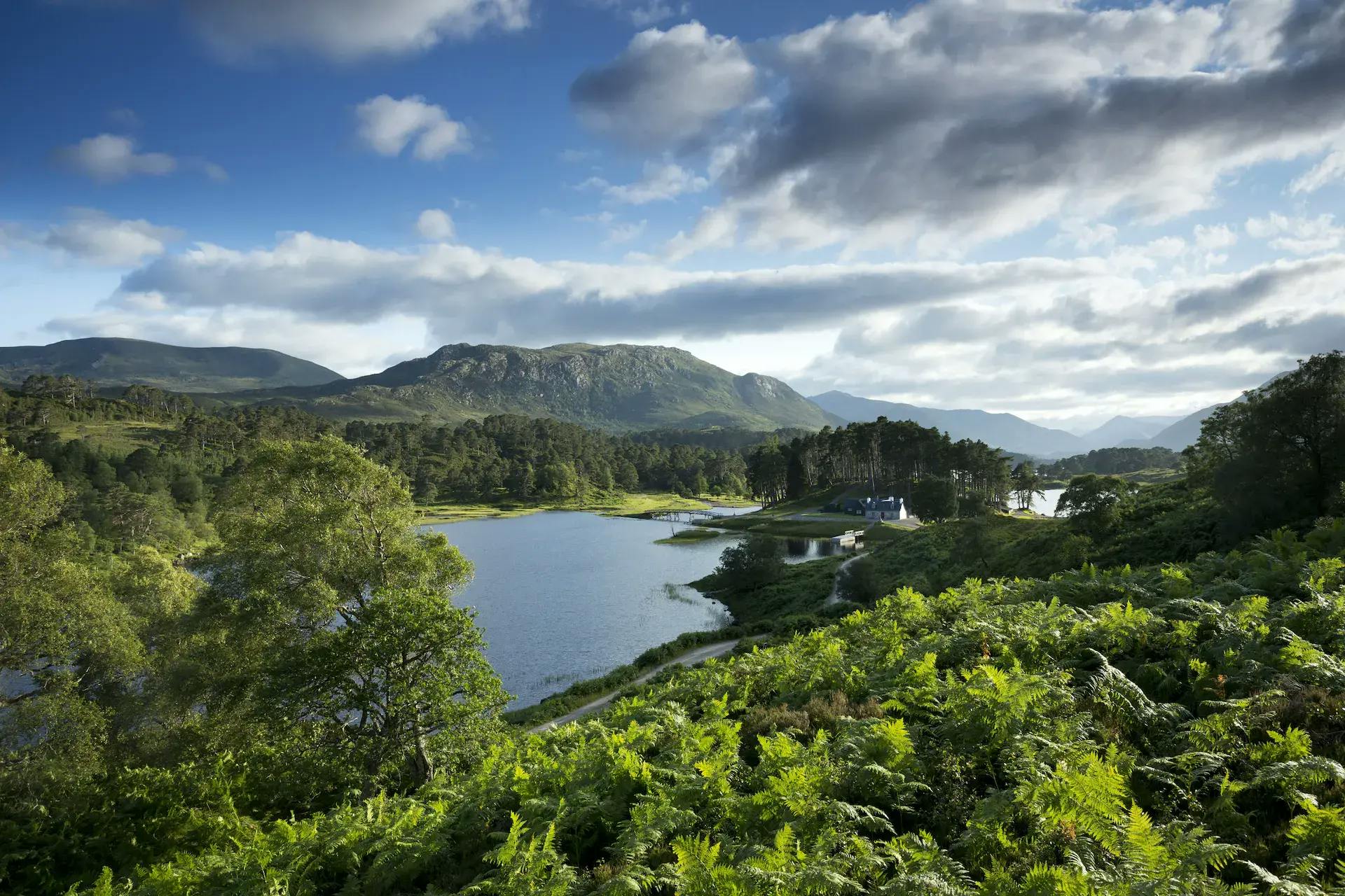 Glen Affric holiday rentals, GBR: holiday houses & more