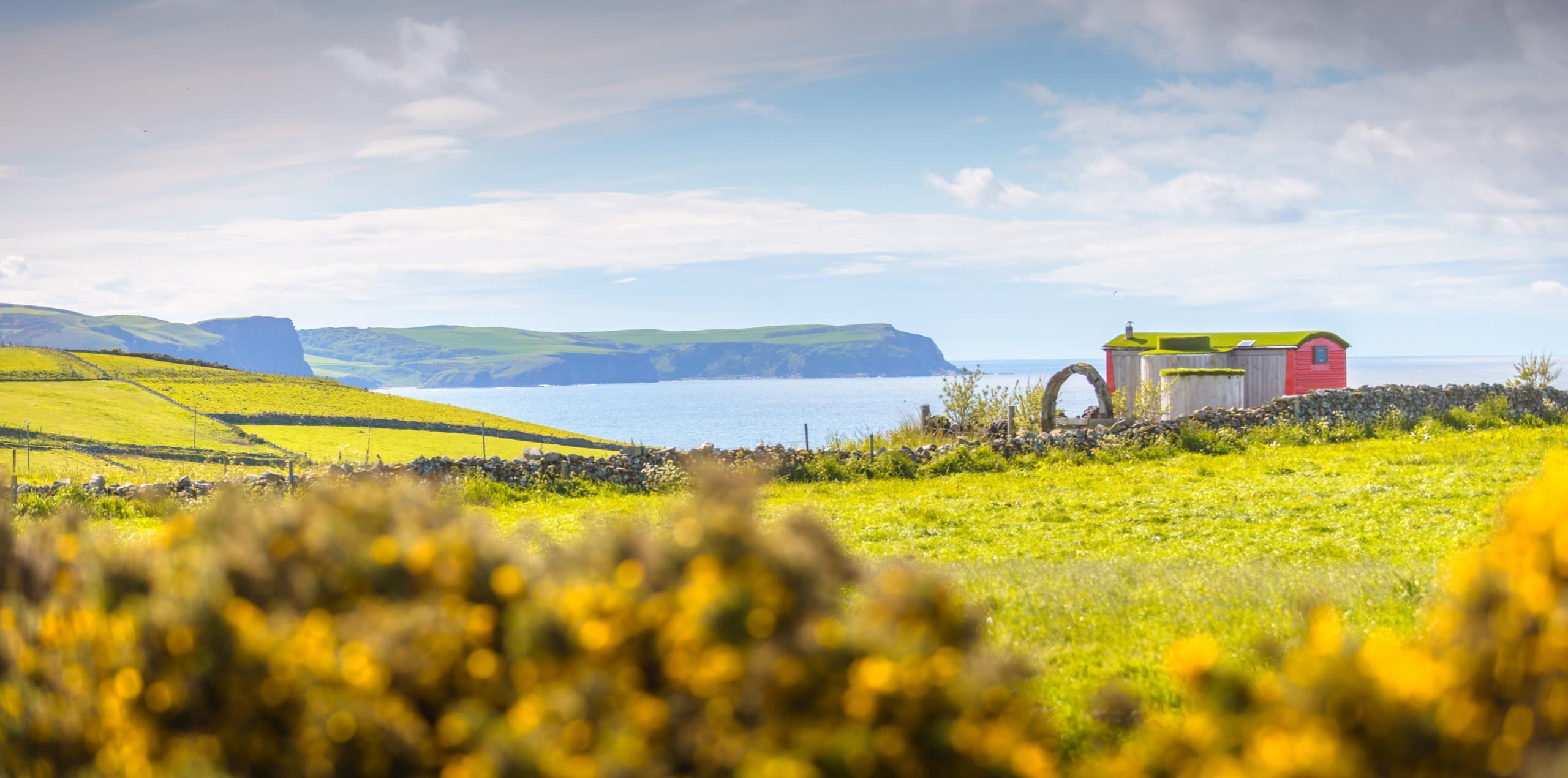 "Coastal Carriage" features stunning views across the sea and animals dotted about on the landscape.