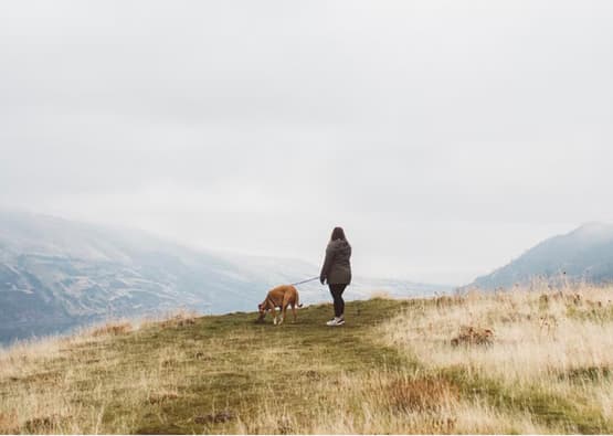 person with dog on lead on top of misty hill