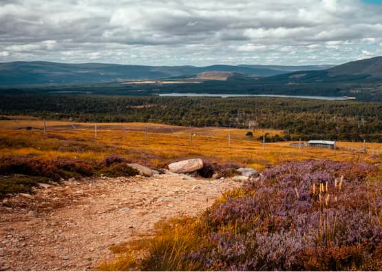 hills over aviemore
