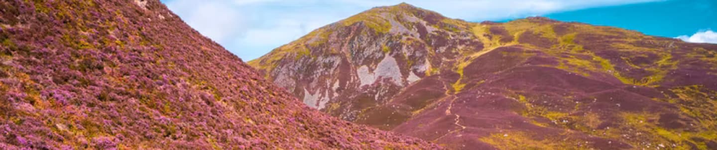 hills around cairngorms national park