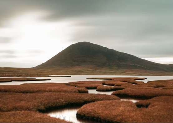 loch with marshland and hill in background