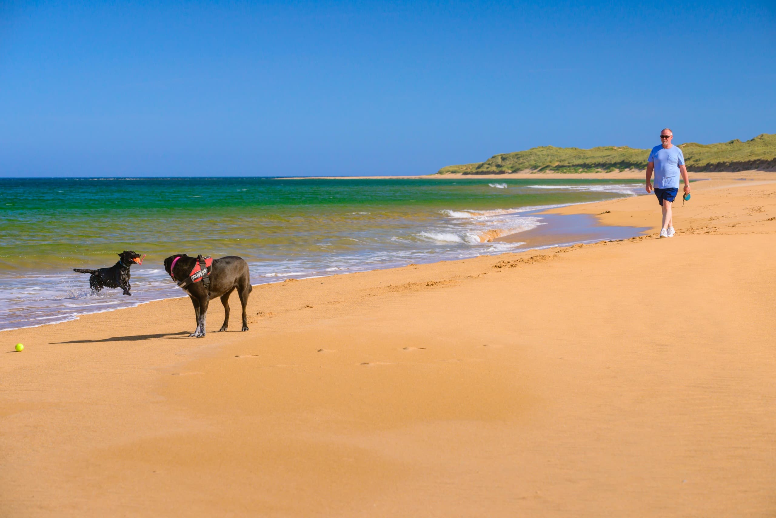 Scotstown Head Beach