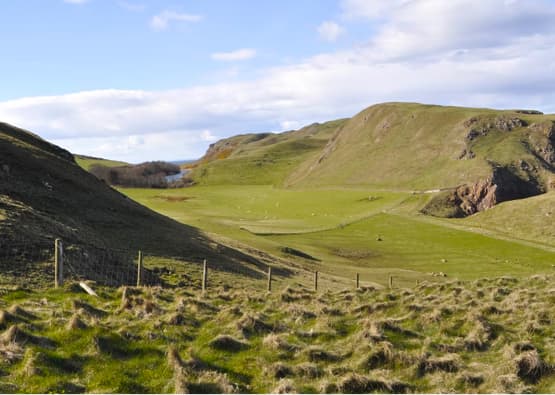 fields and fencing in scottish borders