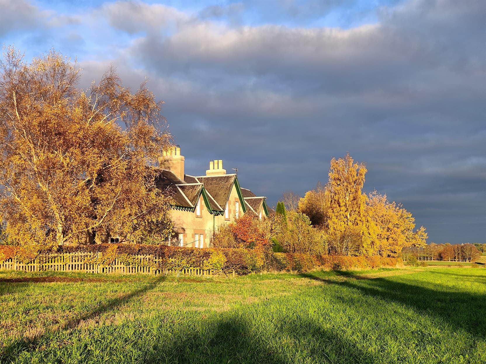 Autumn colours surrounding the holiday cottages, highlighted by the evening sun