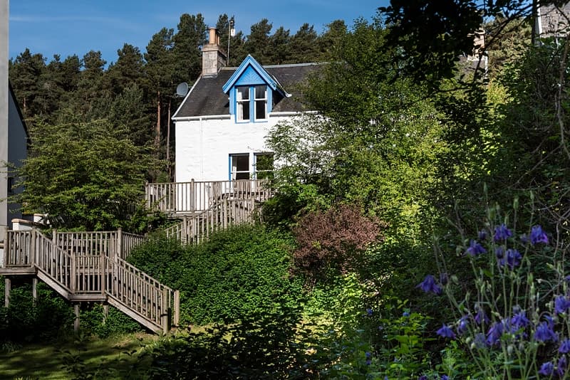 The view from the garden looking towards the white wash traditional cottage. The garden has shrubs and mature trees.