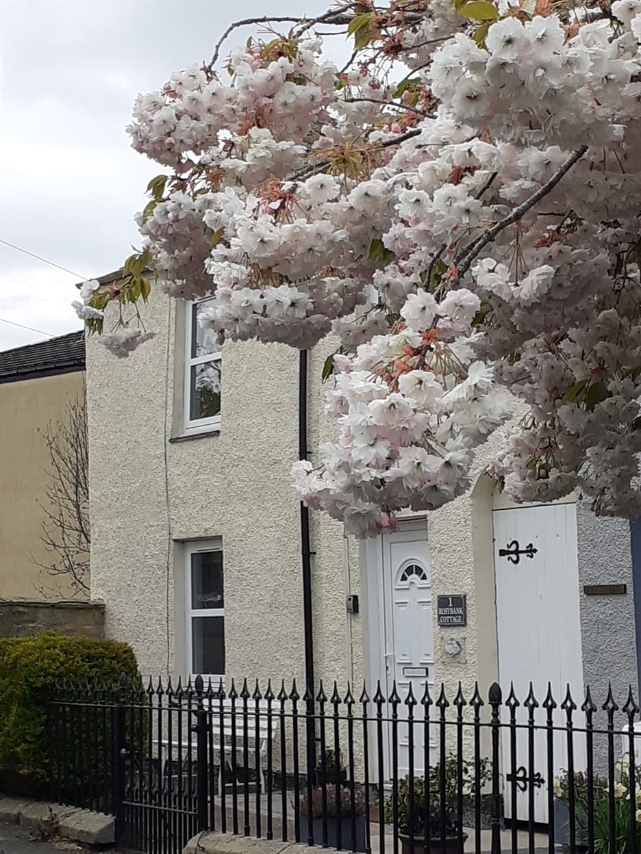 Fully renovated cottage with two bedrooms above the Tweed river bank and close to the village/town centre