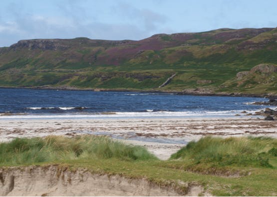 isle of mull beach with grass in foreground