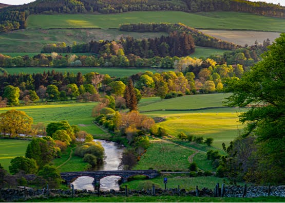 river tweed in peebles with bridge, fields and woods