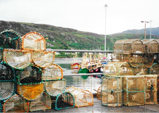 fishing cages by port in ullapool