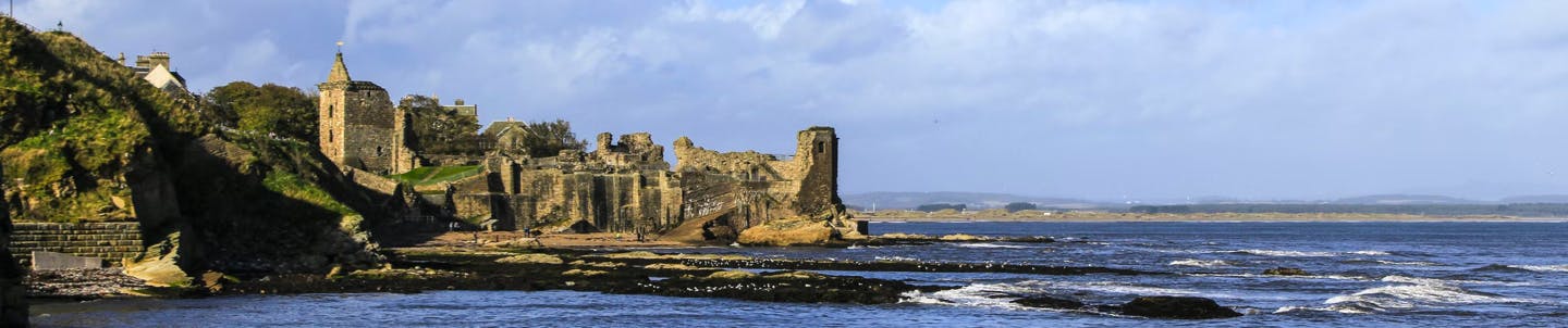 coastline of st andrews with castle in background