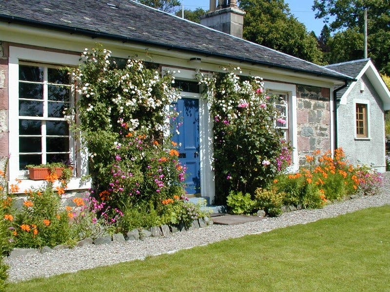 front of cottage with roses and alstromeria in bloom; it must be July.