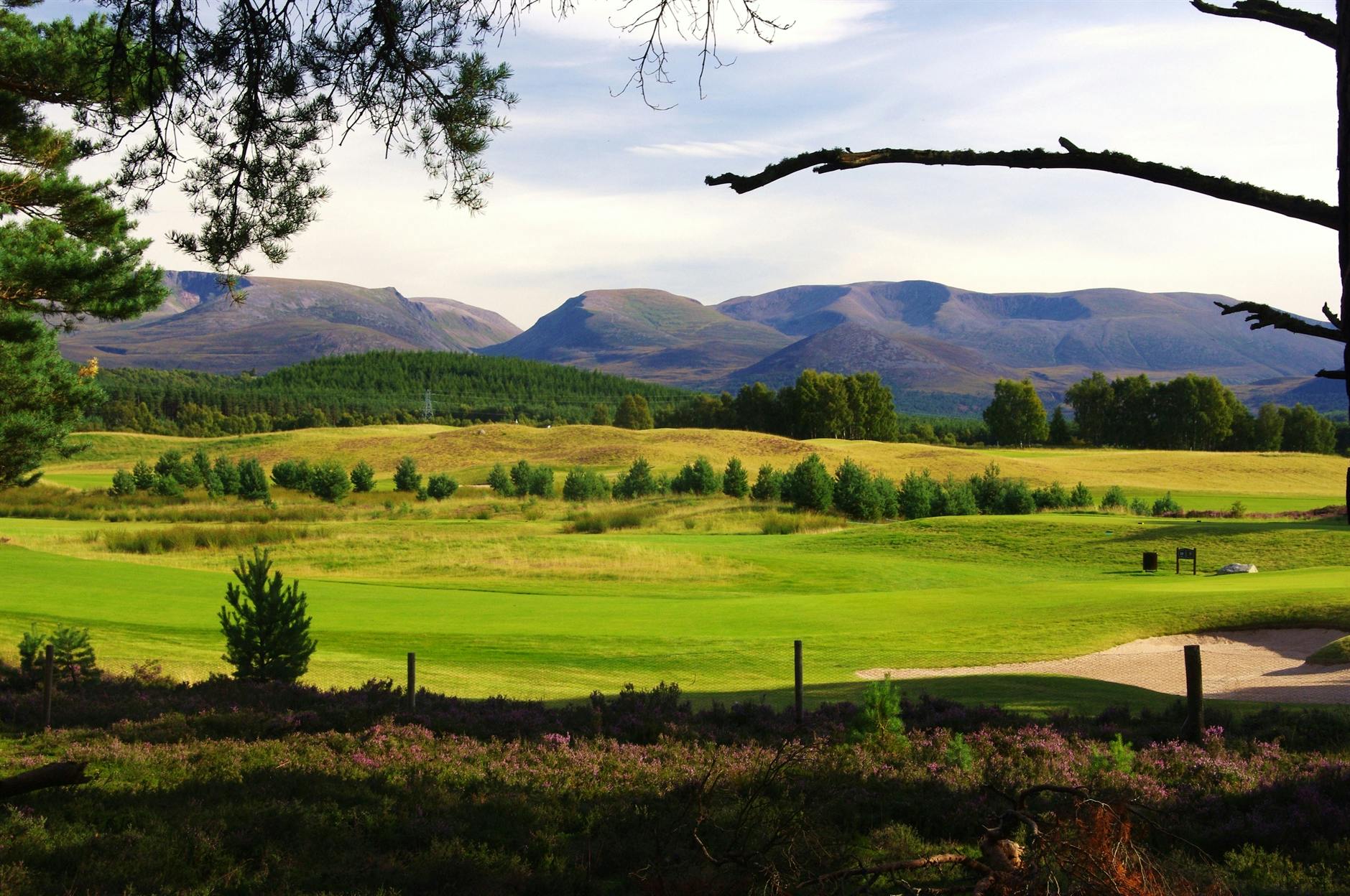 A selection of properties located in and around this beautiful Aviemore area